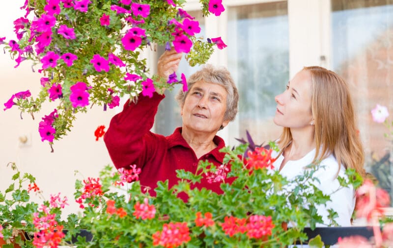 An elderly woman and a young woman are in a garden surrounded by colorful pink and red flowers. The elderly woman is reaching up to touch a hanging pink flower, while the young woman watches attentively.